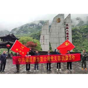 湖南嘉力亞新材料有限公司 2023年“暢游三峽”團(tuán)建活動圓滿