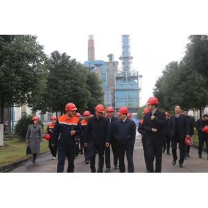 常德市長周振宇一行蒞臨騰鴻公司調(diào)研